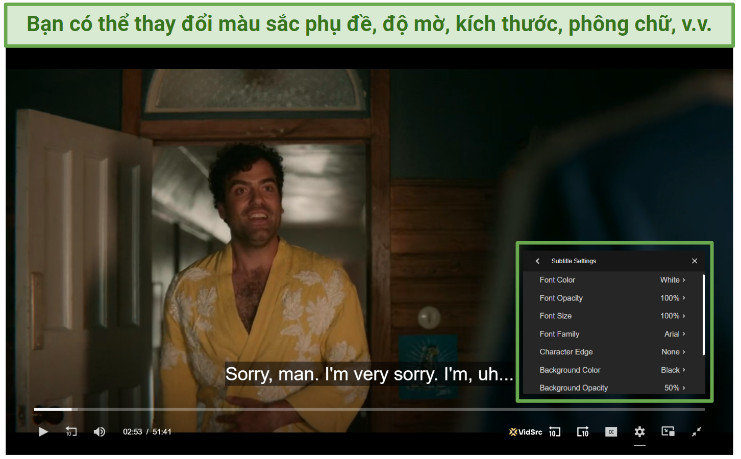 Screenshot of Submovies customizable subtitle settings.