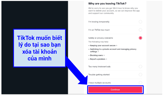 Screenshot of TikTok questionnaire before deletion