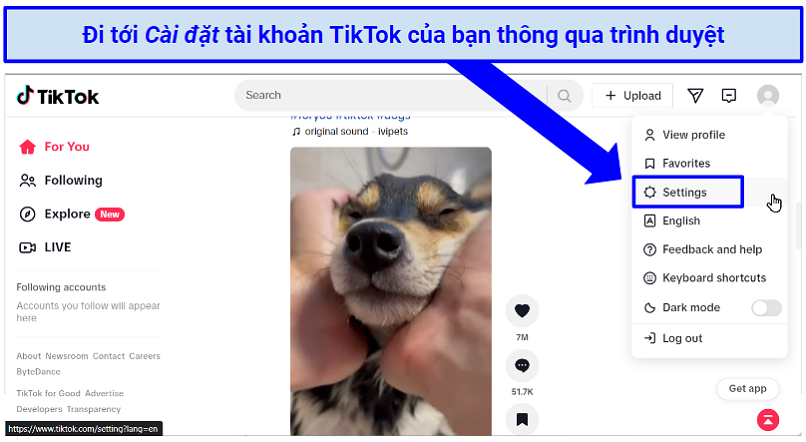 Screenshot of TikTok profile page in the browser