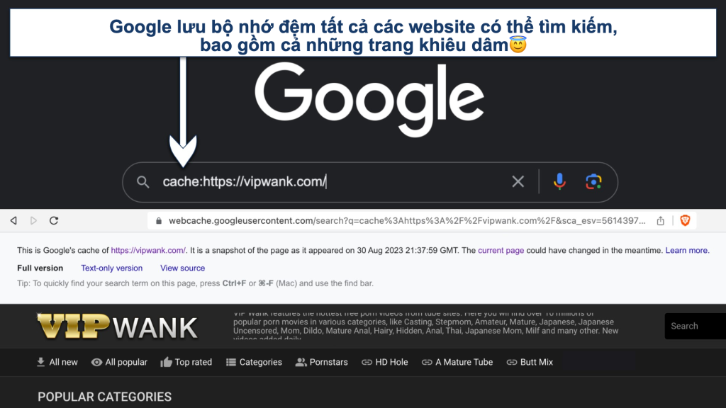 Screenshot showing Google Cache