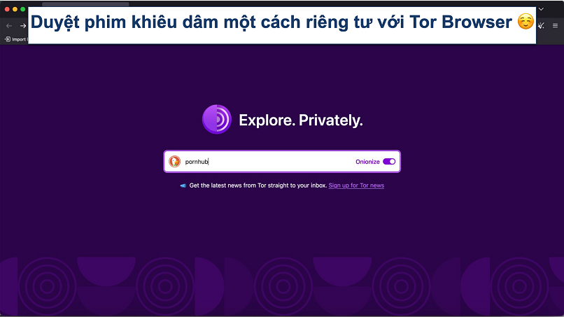 Screenshot showing the Tor Browser with “pornhub” typed in the search bar
