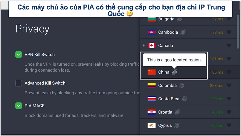 Screenshot of PIA's privacy settings and virtual servers in the app